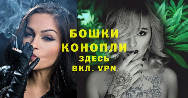 спиды Рославль